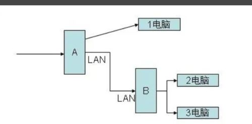 數(shù)碼網(wǎng)絡(luò)交換與子網(wǎng) 路由與交換的協(xié)同構(gòu)建